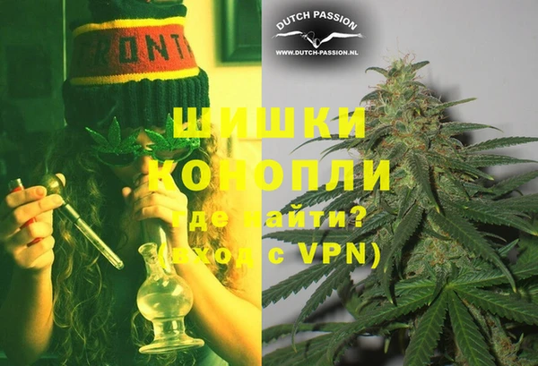 прущие грибы Нягань