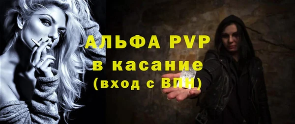 соль ск Новодвинск