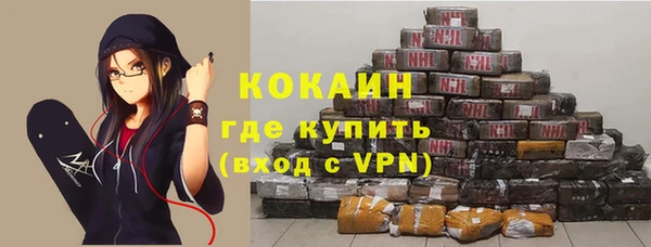 соль ск Новодвинск