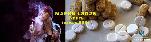 соль ск Новодвинск