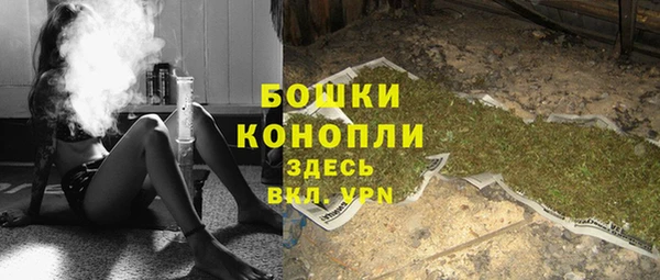 прущие грибы Нягань