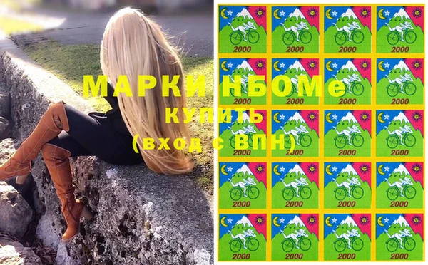 ешки Новозыбков