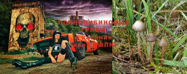 соль ск Новодвинск