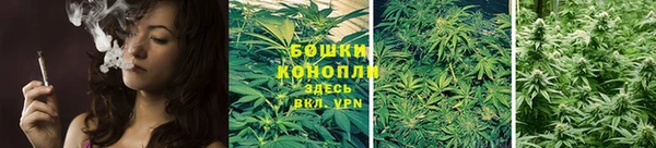 ешки Новозыбков