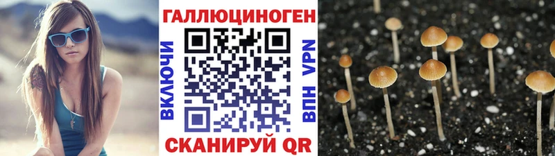 Галлюциногенные грибы прущие грибы  Берёзовский 